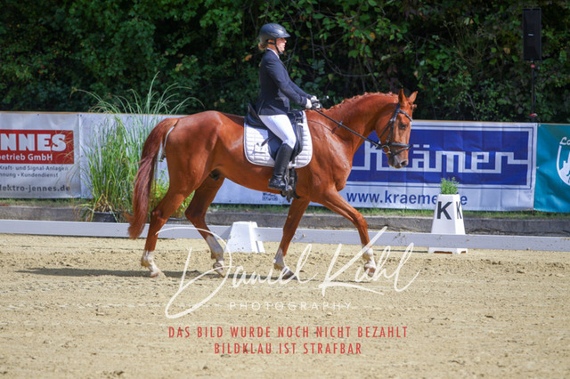 DKP41932 | Turniersportfotografie; Pferdefotografie; Dressurfotografie