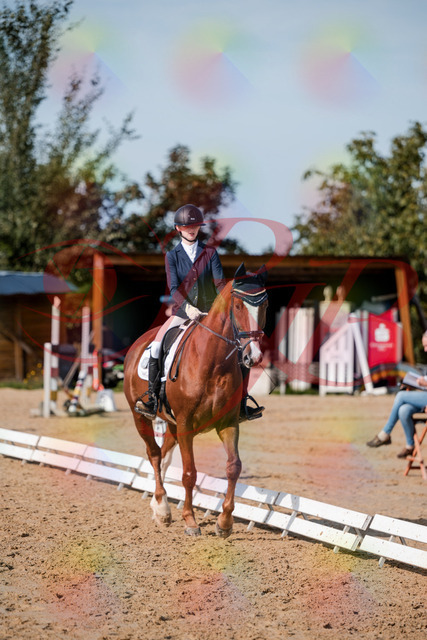 2026_10_03_Siefer-Hof_123654_Z63_54507650 | Professionelle Reitsport-, Turnier- und Eventfotografie von Robert Broda. Galerien mit ausgewählten und bearbeiteten Bildern direkt online ansehen und bestellen.