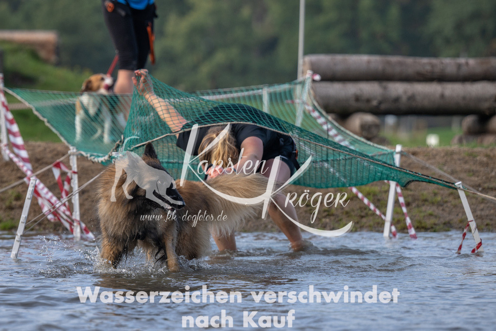 0954_ZZ91337 | kk-dogfotos