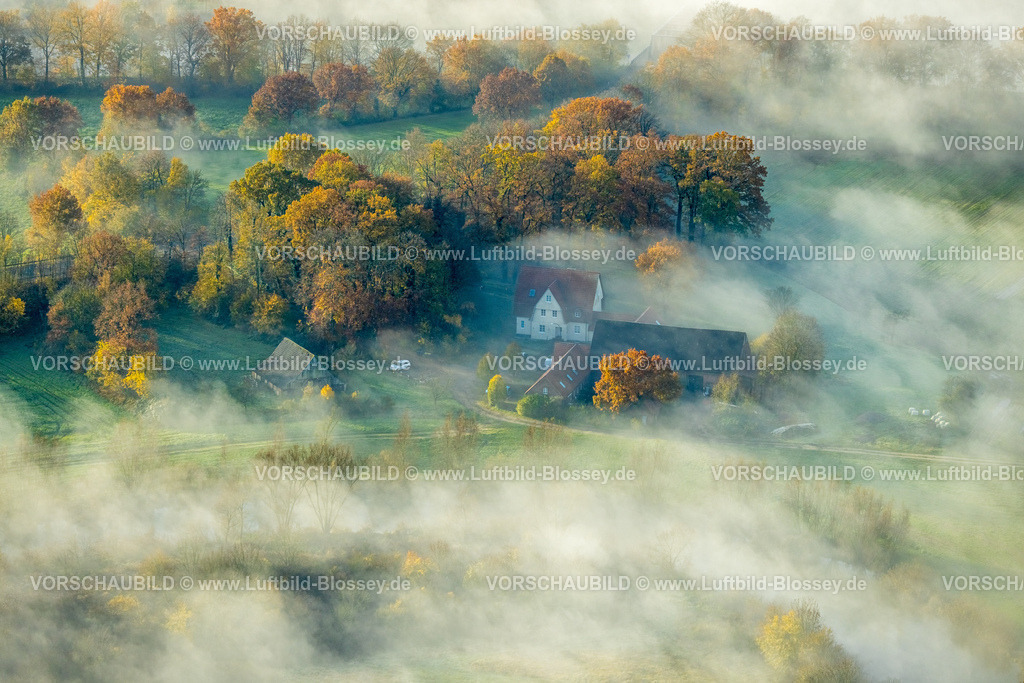 Haltern231104094 | Luftbild, Nebelschwaden über der Kita Villa Sonnenschein Kindergarten, umgeben von herbstlichen Laubbäumen, Flaesheim, Haltern am See, Ruhrgebiet, Münsterland, Nordrhein-Westfalen, Deutschland