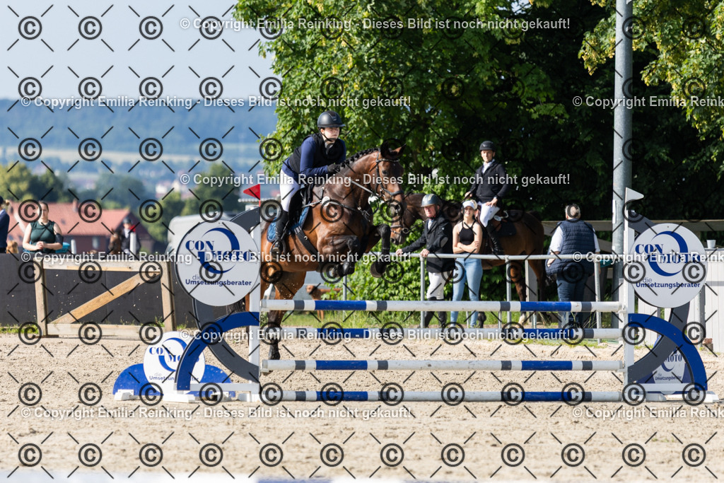 CL5A0116 | Emilia Reinking Fotografie - Realisiert mit Pictrs.com