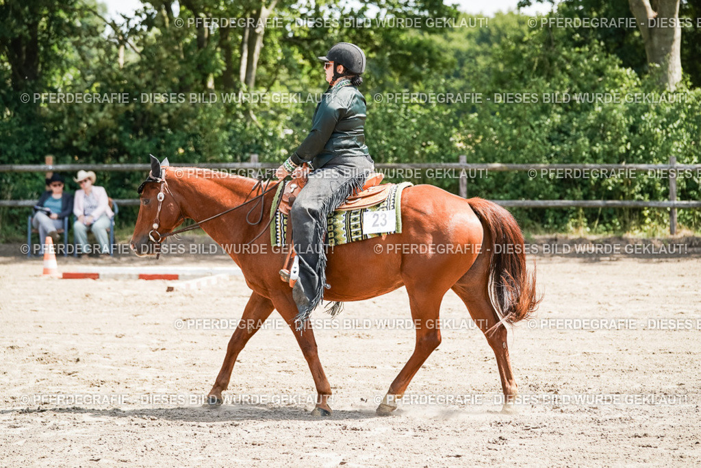 DSC06490 | Pferdegrafie