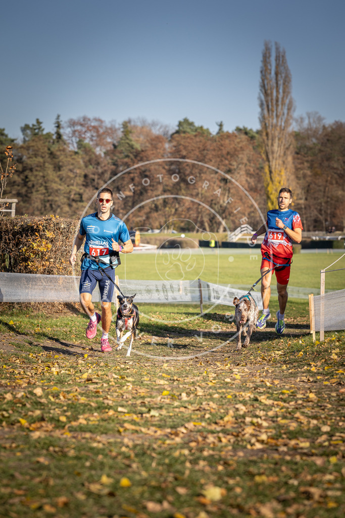 CaniXpix_DV3A9858 | Hundefotografie, Tierfotograf, Pfotenfotografie, Fotoshooting Hund, Hunde Portrait, Hundesport, Hundeportraits, Heideshooting, Hunde, Sportfotograf, Hundefotograf, Turnierhundsport, THS,  - Realisiert mit Pictrs.com