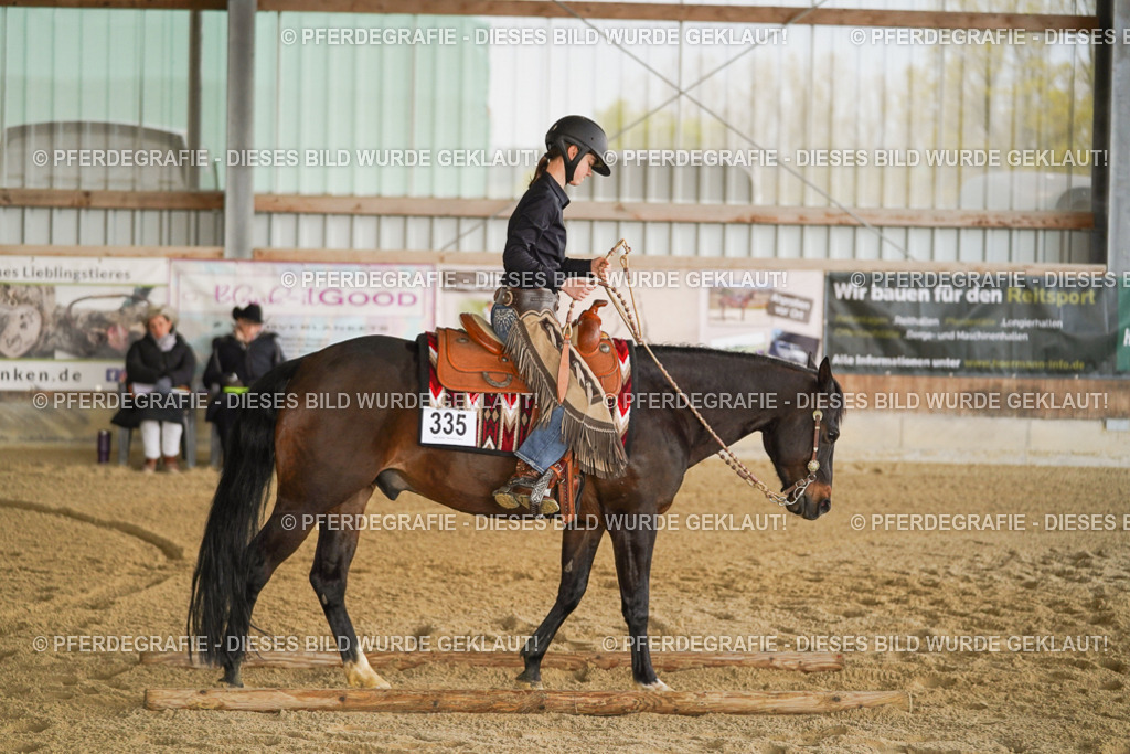 DSC06263 | Pferdegrafie