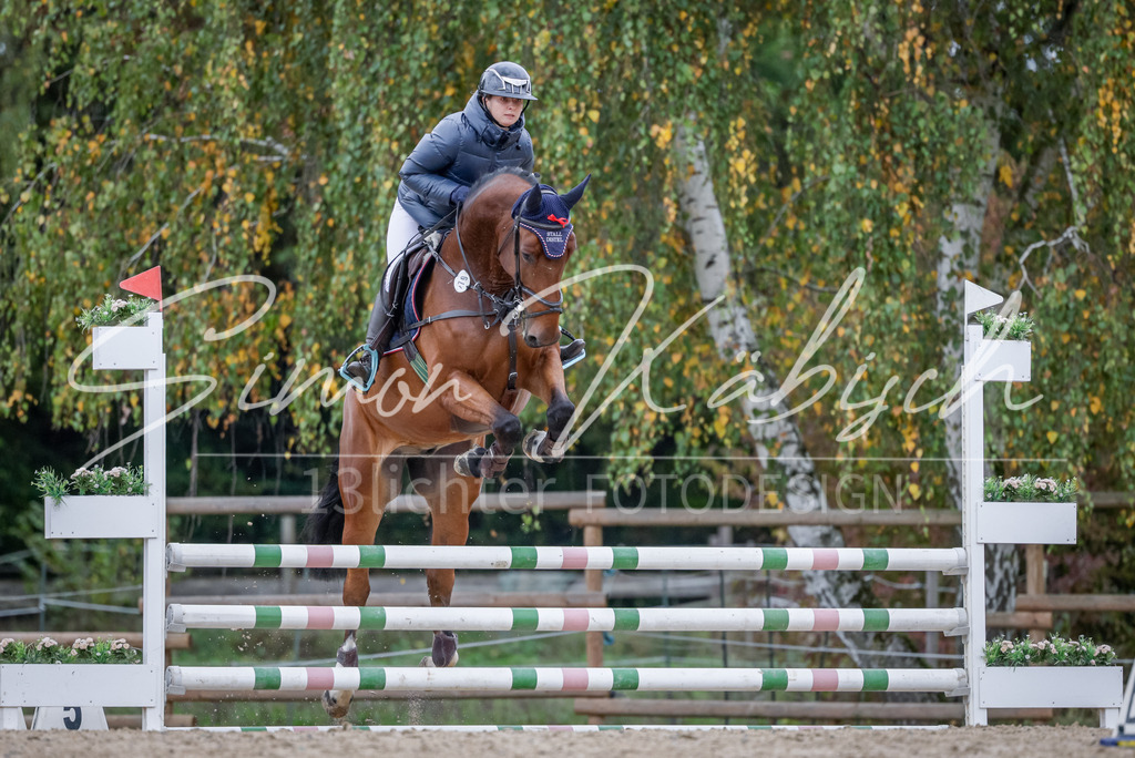 20251012-_3LI3730 | Tierfotografie Pferde, Hunde, Katzen, Haustiere.
Turnierfotografie Reitturniere, Reiten, Springreiten, Dressur in Hanau, dem Main-Kinzig-Kreis und dem Rhein-Main- Gebiet um Frankfurt