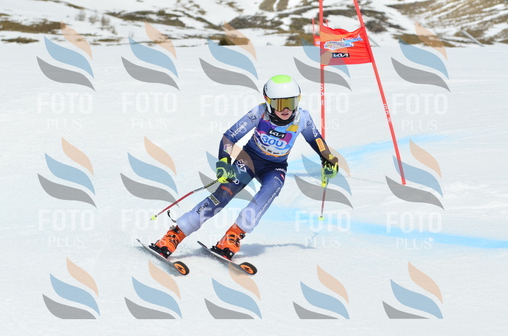 _ELE2189 | holidayphoto