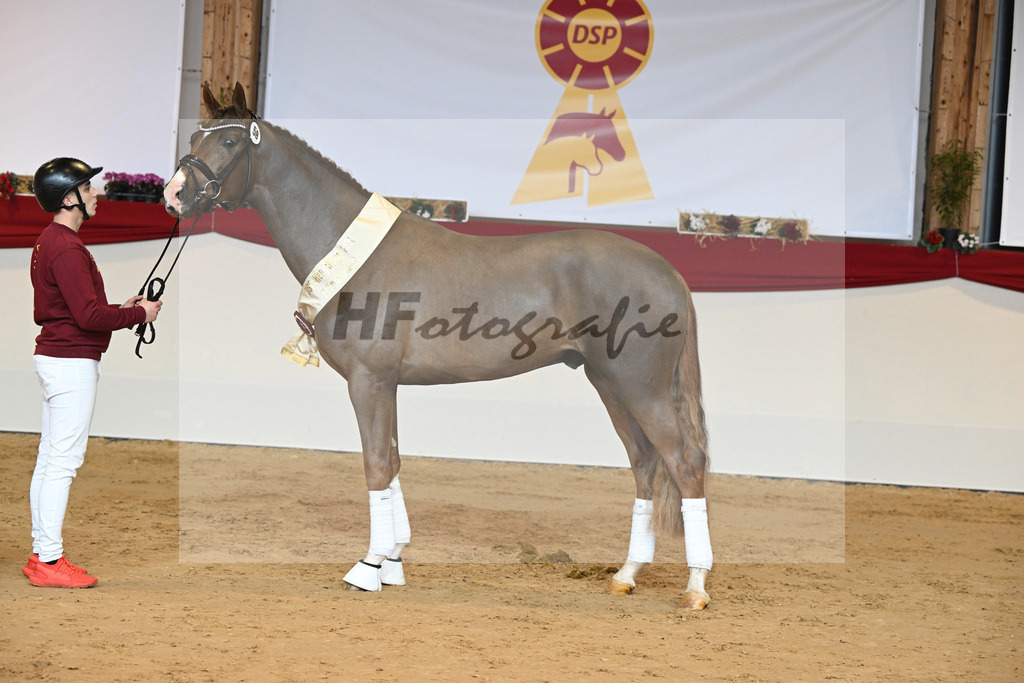 Kat-Nr. 58 Fuerst Samarant_Beckmann_1231922 | hf-fotografie - Realisiert mit Pictrs.com