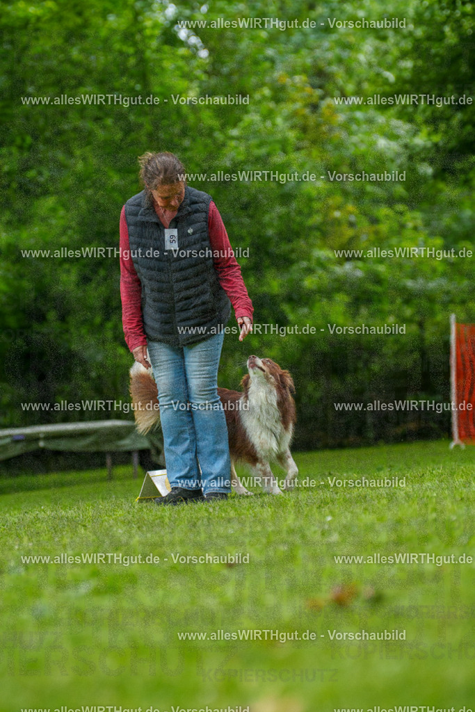 @allesWIRTHgut_Tierfotografie - www.allesWIRTHgut.de - 7R501412 | Professionelle Tierfotografie in Mönchengladbach von Daniel Wirth (allesWIRTHgut). Liebevolle & natürliche Bilder von Hunden & Katzen für unvergessliche Erinnerungen.