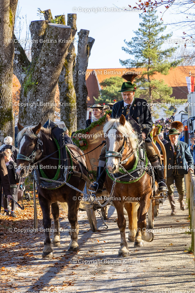 LBT25-986 | foto-bettina-krinner - Realisiert mit Pictrs.com