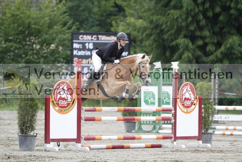 _MG_6485 | equestrian-live-com