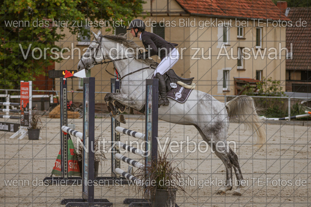 2025-09-22_09-48-49_MG_4767 | TE-Fotos