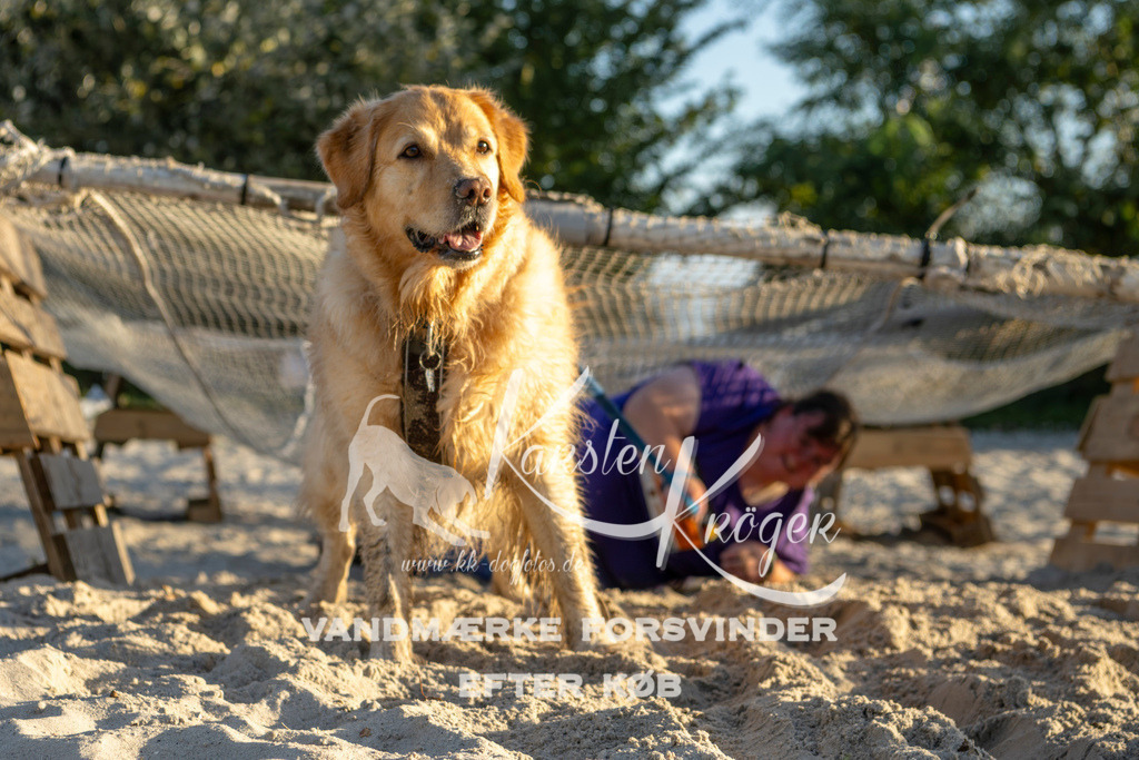 1706_ZZ90538 | kk-dogfotos