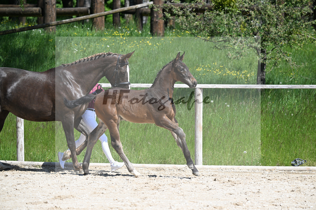 Cornet Obolensky x Kannan_HF_Schroetzlmair_10250192 | hf-fotografie - Realizzato con Pictrs.com