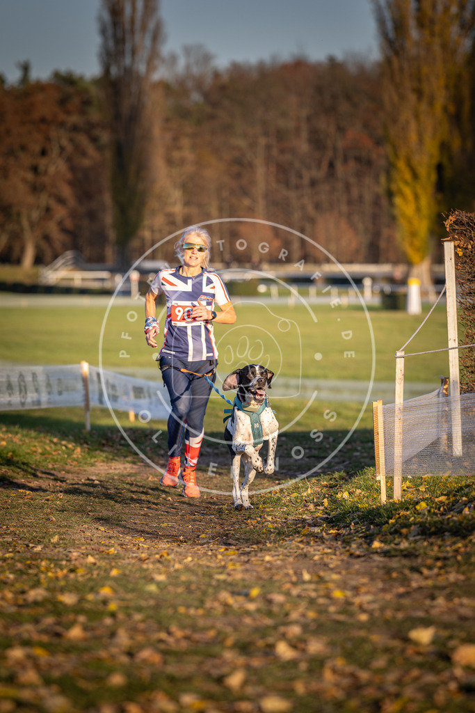 CaniXpix_DV3A4605 | Hundefotografie, Tierfotograf, Pfotenfotografie, Fotoshooting Hund, Hunde Portrait, Hundesport, Hundeportraits, Heideshooting, Hunde, Sportfotograf, Hundefotograf, Turnierhundsport, THS,  - Realisiert mit Pictrs.com