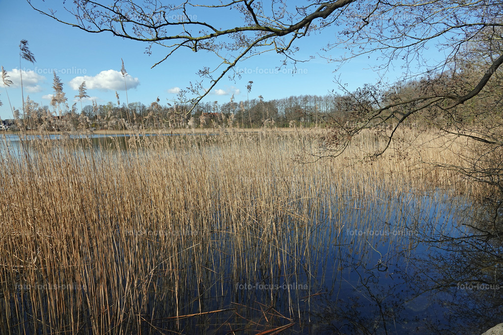 Smiling Lake_27 | Late afternoon in spring at the lake