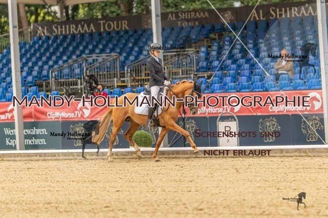 28-8-26 5j DRE-10 | mandyhollmannphotographie