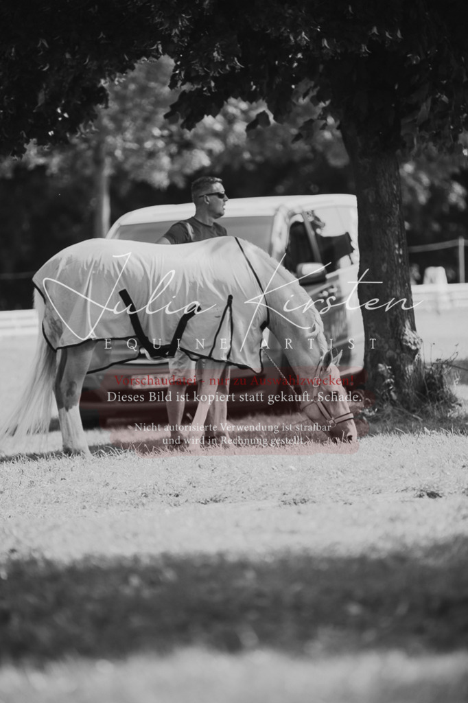 DSC_0569 | Pferde- und Turnierfotografie in Westsachsen. Pferdeportraits, Auftragszeichnungen und intuitive Kunst.