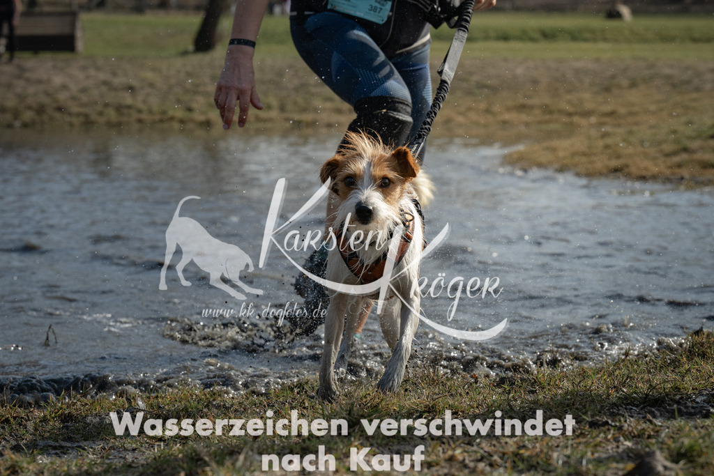 1322_ZZ95952 | kk-dogfotos