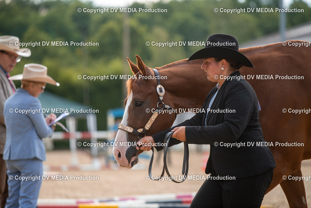 EWP_5566 | dv-media-shop - Realisiert mit Pictrs.com