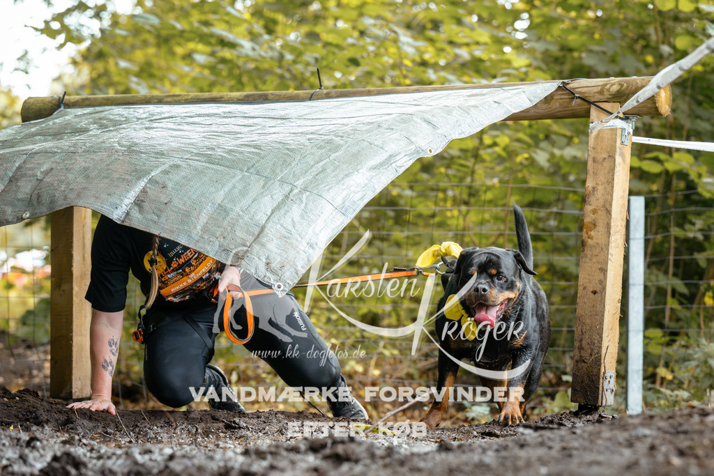 1431DZ6_2752Z6 | kk-dogfotos