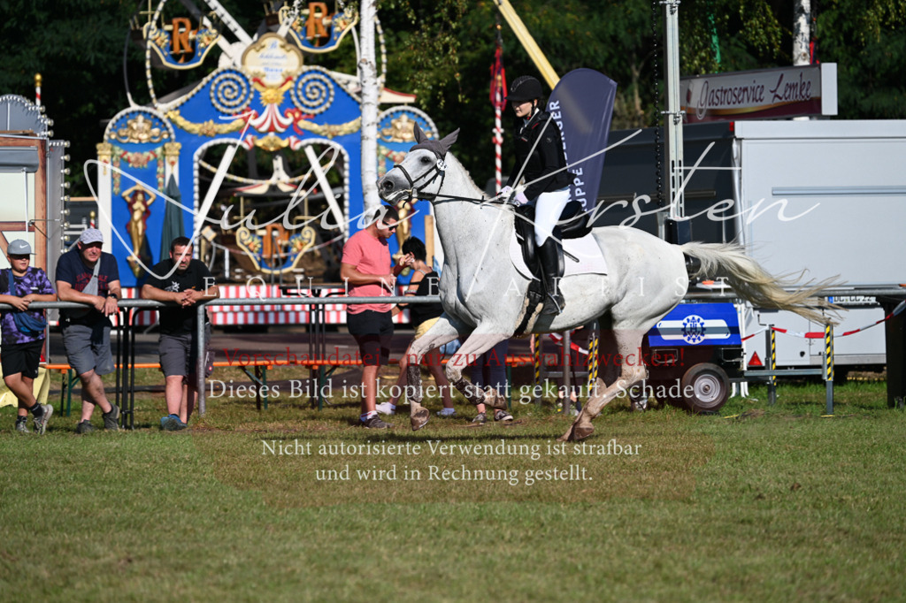 DSC_5082 | Pferde- und Turnierfotografie in Westsachsen. Pferdeportraits, Auftragszeichnungen und intuitive Kunst.