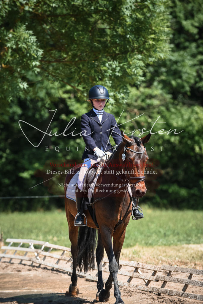 DSC_3319 | Pferde- und Turnierfotografie in Westsachsen. Pferdeportraits, Auftragszeichnungen und intuitive Kunst.