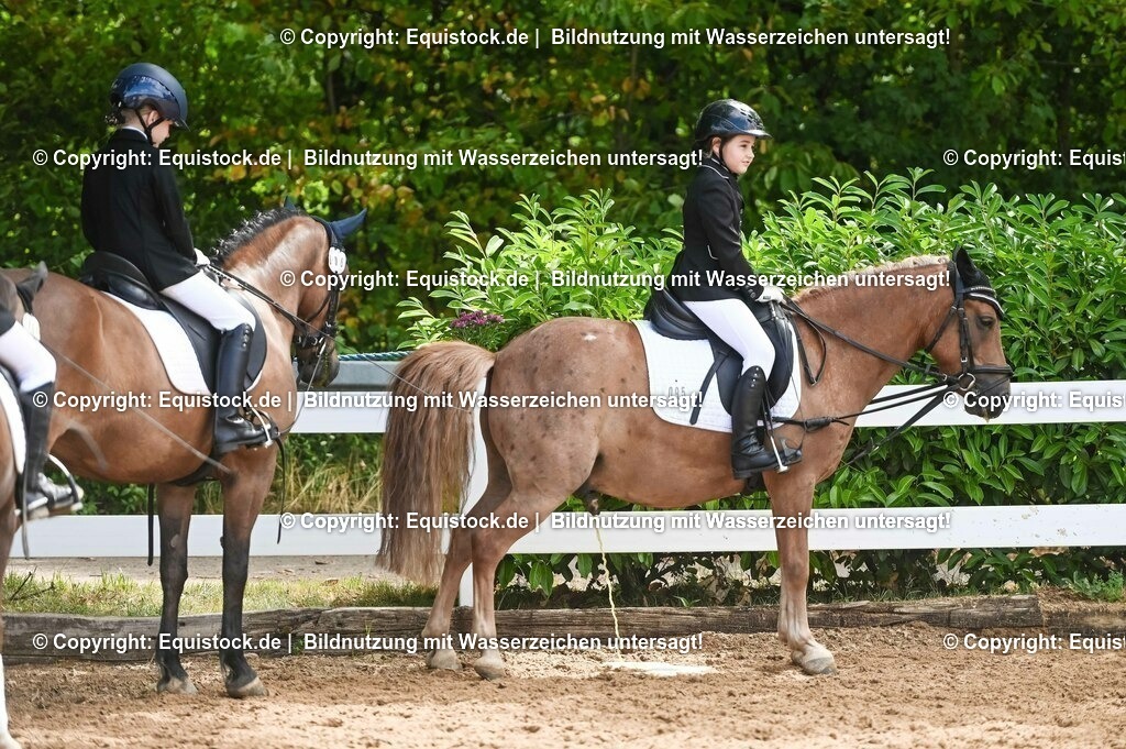 20230716_10-3_Reiter-WB Schritt - Trab - Galopp_0134 | equistock