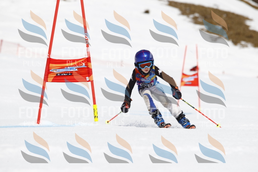 _U3G6146 | holidayphoto