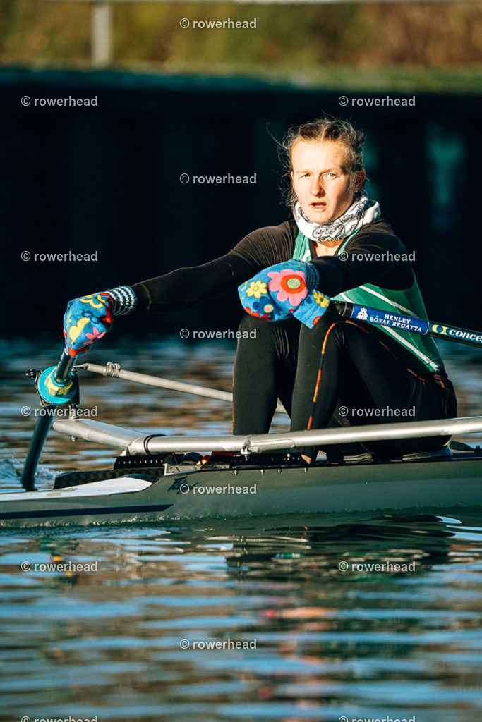 20241201_rowerhead_R313_S0751_DSC05183 | rowerhead - Realisiert mit Pictrs.com