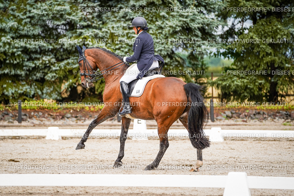 DSC09769 | Pferdegrafie