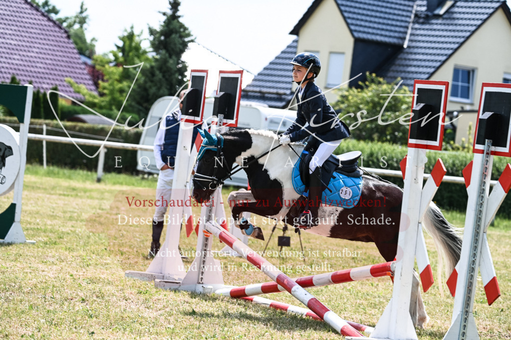 DSC_9733 | Pferde- und Turnierfotografie in Westsachsen. Pferdeportraits, Auftragszeichnungen und intuitive Kunst.