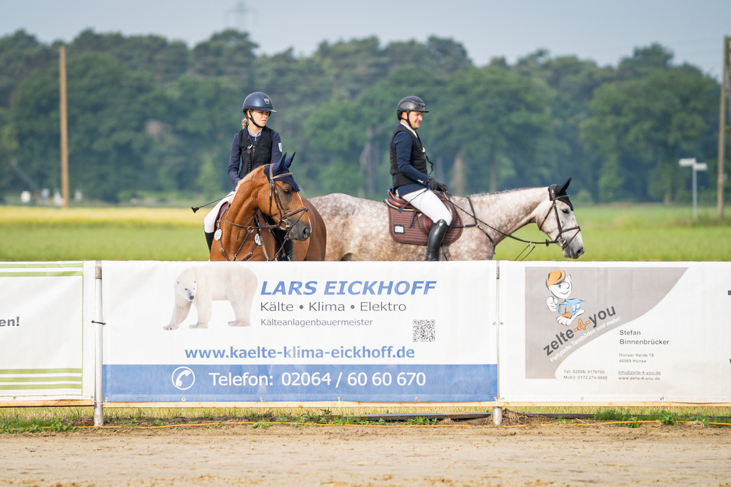 DSC08201 | Pferdegrafie