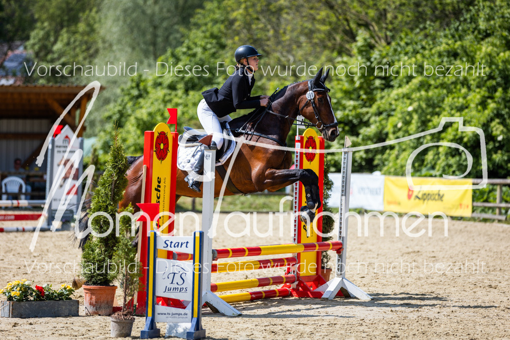 Donop24-SprRW-048 | MomenTaufnahmen Pferdesportfotos