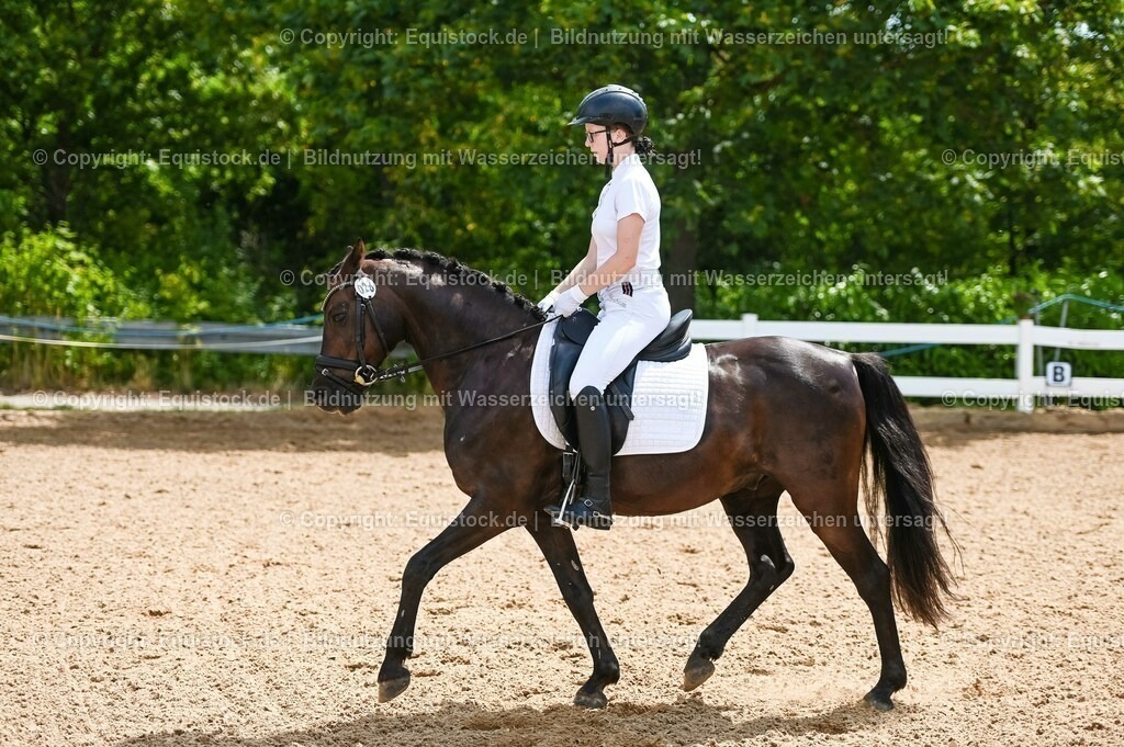 20230715_09_Dressur-WB_0203 | equistock