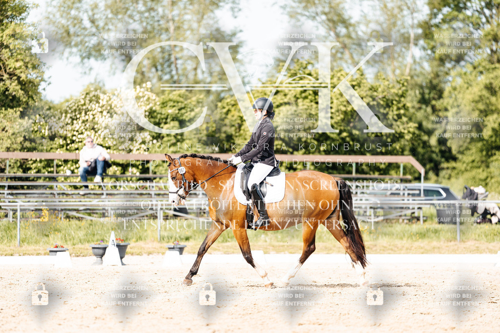 CK900556 | Turnierfotografie Pferdefotografie Trier Rheinland-Pfalz Pferdesport Reitsport Tierfotografie Sportfotografie Pferdevideo Pferdevideografie Equestrianvideography equestrianphotography  - Realisiert mit Pictrs.com