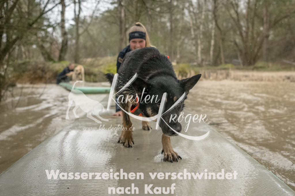 1049_ZZ93510-Bearbeitet | kk-dogfotos