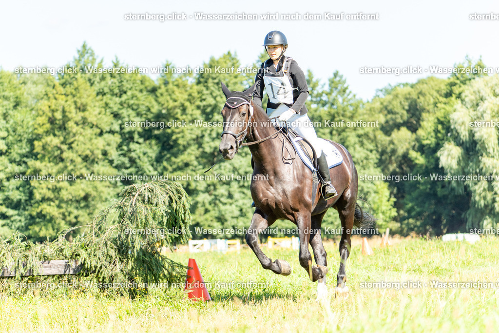 2026-08-08_09-27-15_WBO_Pulsnitz | sternberg.click - Realisiert mit Pictrs.com