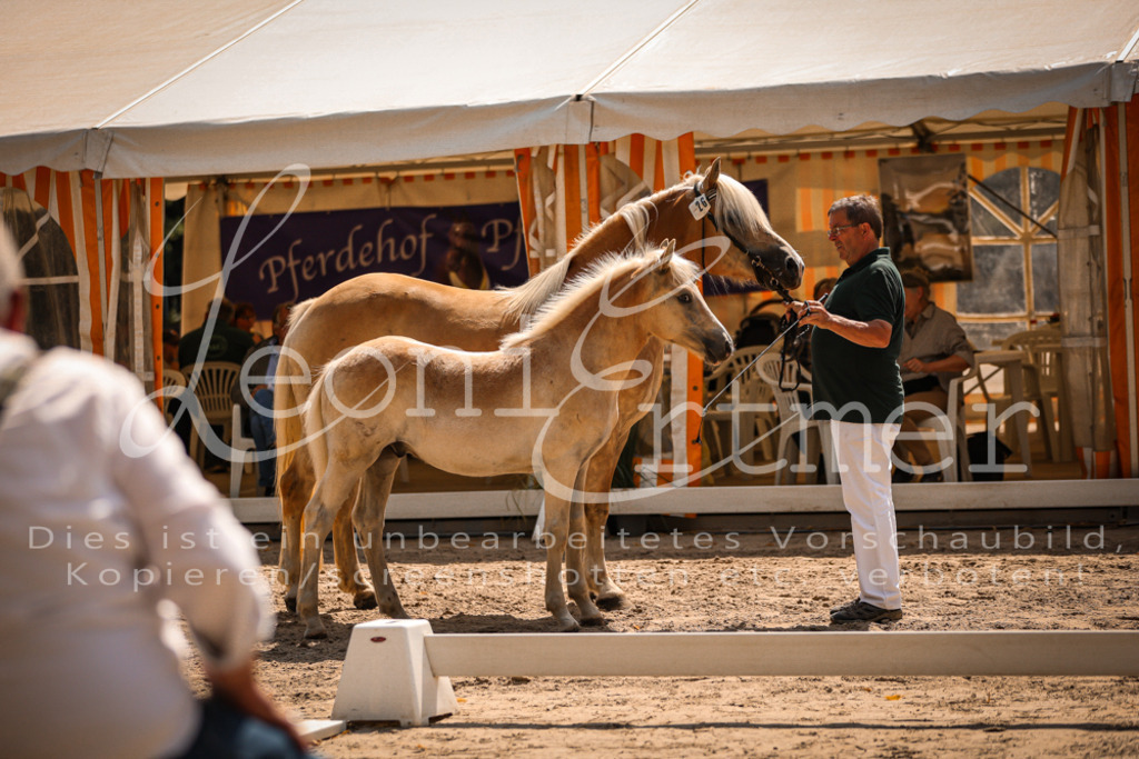 06.DoH00098 | Leoni Ertmer Photography - Realisiert mit Pictrs.com