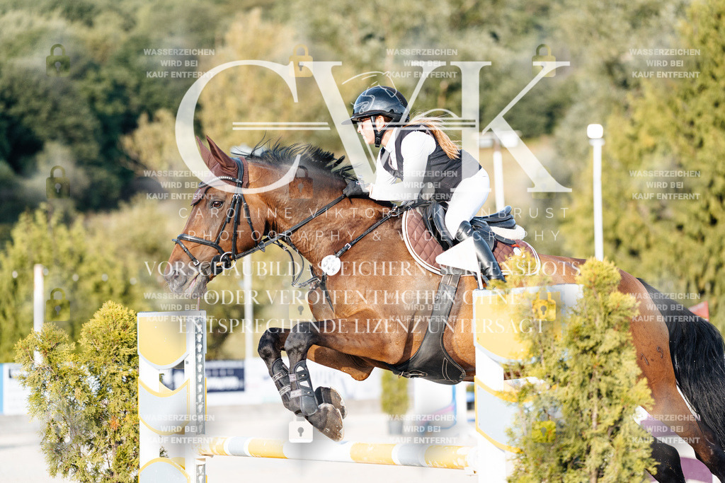 CK900708 | Turnierfotografie Pferdefotografie Trier Rheinland-Pfalz Pferdesport Reitsport Tierfotografie Sportfotografie Pferdevideo Pferdevideografie Equestrianvideography equestrianphotography  - Realisiert mit Pictrs.com