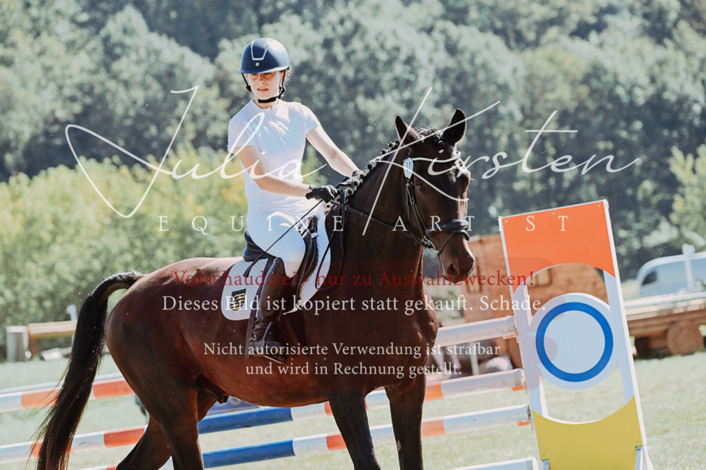 DSC_6581 | Pferde- und Turnierfotografie in Westsachsen. Pferdeportraits, Auftragszeichnungen und intuitive Kunst.