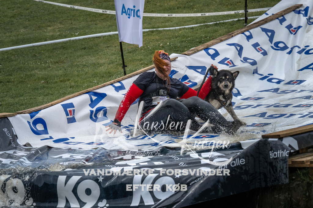 1537_ZZ95812 | kk-dogfotos