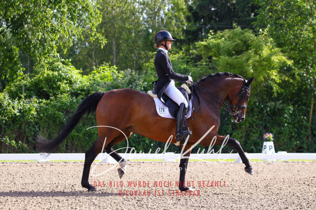 DKP41565 | Turnierfotos kaufen im Webshop von Daniel Kuhl Photography – entdecke professionelle Reitsportfotos aus Turnieren & Events. Hochwertige Turnierbilder online bestellen & sichern. Jetzt Fotos von Reitsportturnieren kaufen!