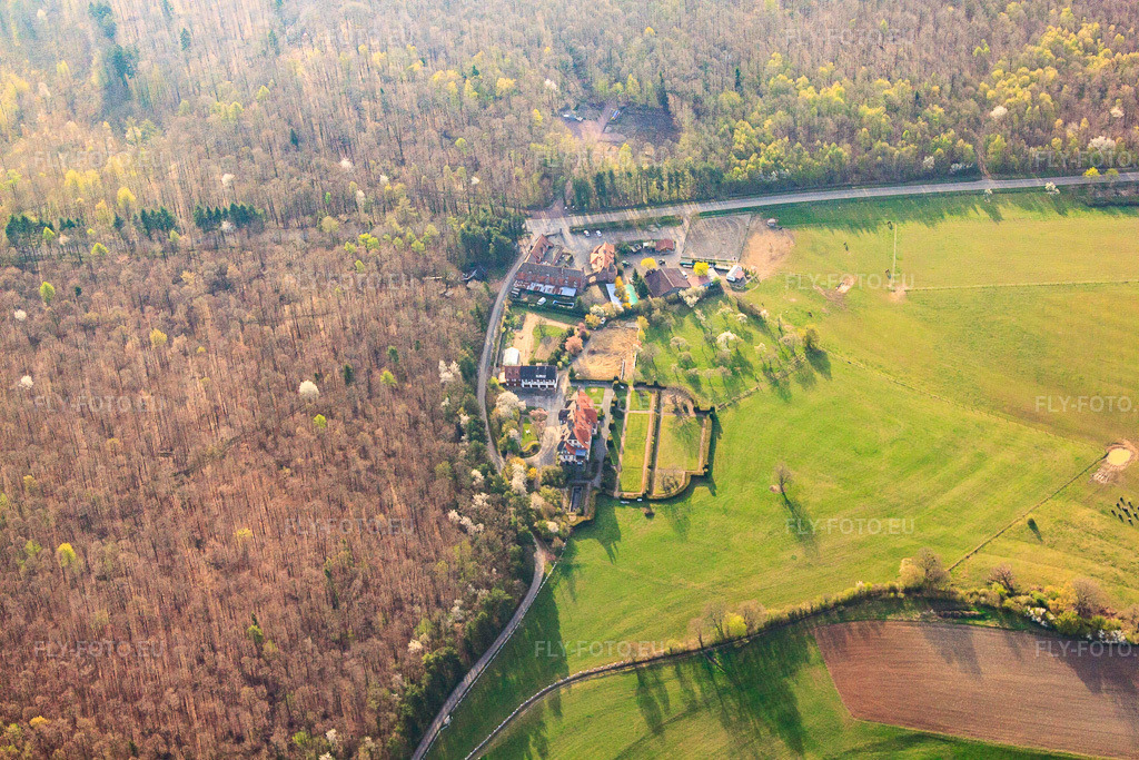 Vue aérienne: Ferme Mellon et Villa Le Riesack à Niederbronn-les-Bains dans le département Bas Rhin, France.Photo: IMG_63711.jpg prise le 30/03/2014 par Werner Riehm/FLY-FOTO.euRésolution de l'original: 4752 x 3168 pxFerme Mellon - Restaurant et chambres d'hôtesGite de groupe en Alsace. Fetes de famille. Villa le Riesack. Capacit\xc3\xa9: 30 \xc3\xa0 50 Personnes