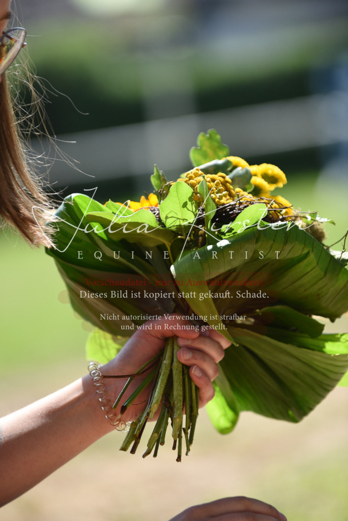 DSC_9875 | Pferde- und Turnierfotografie in Westsachsen. Pferdeportraits, Auftragszeichnungen und intuitive Kunst.