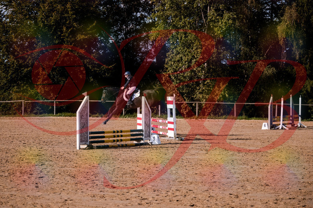 2026_10_03_Siefer-Hof_154950_Z81_68760942 | Professionelle Reitsport-, Turnier- und Eventfotografie von Robert Broda. Galerien mit ausgewählten und bearbeiteten Bildern direkt online ansehen und bestellen.