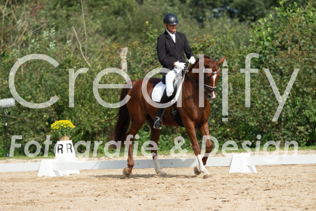 IMG_3317 | Creatify Fotografie