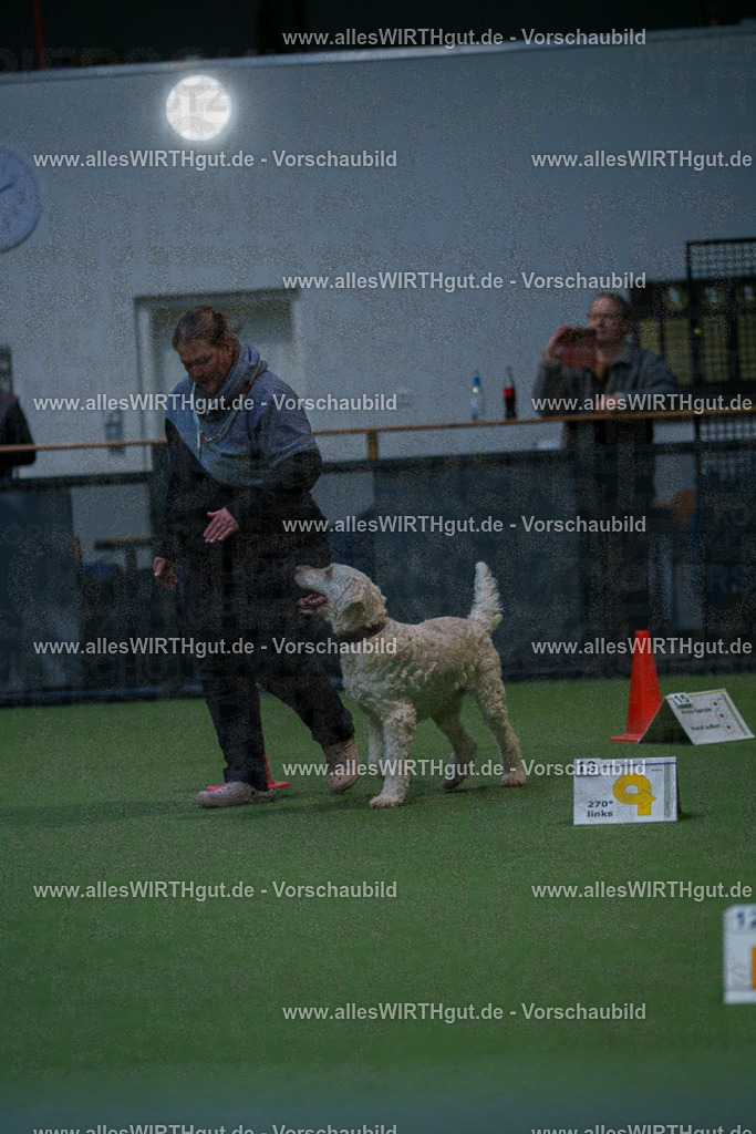7R502860 | Professionelle Tierfotografie in Mönchengladbach von Daniel Wirth (allesWIRTHgut). Liebevolle & natürliche Bilder von Hunden & Katzen für unvergessliche Erinnerungen.