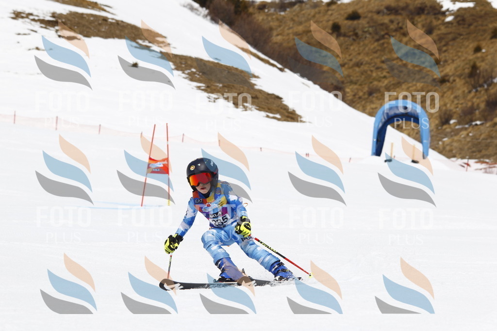 _U3G7141 | holidayphoto