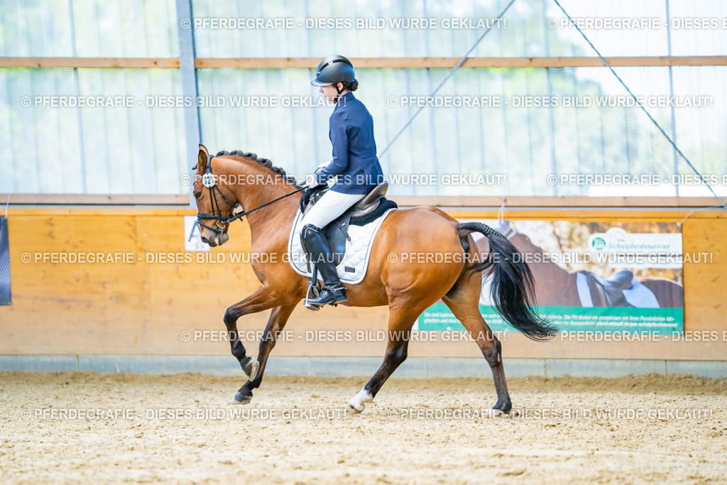 DSC07968 | Pferdegrafie