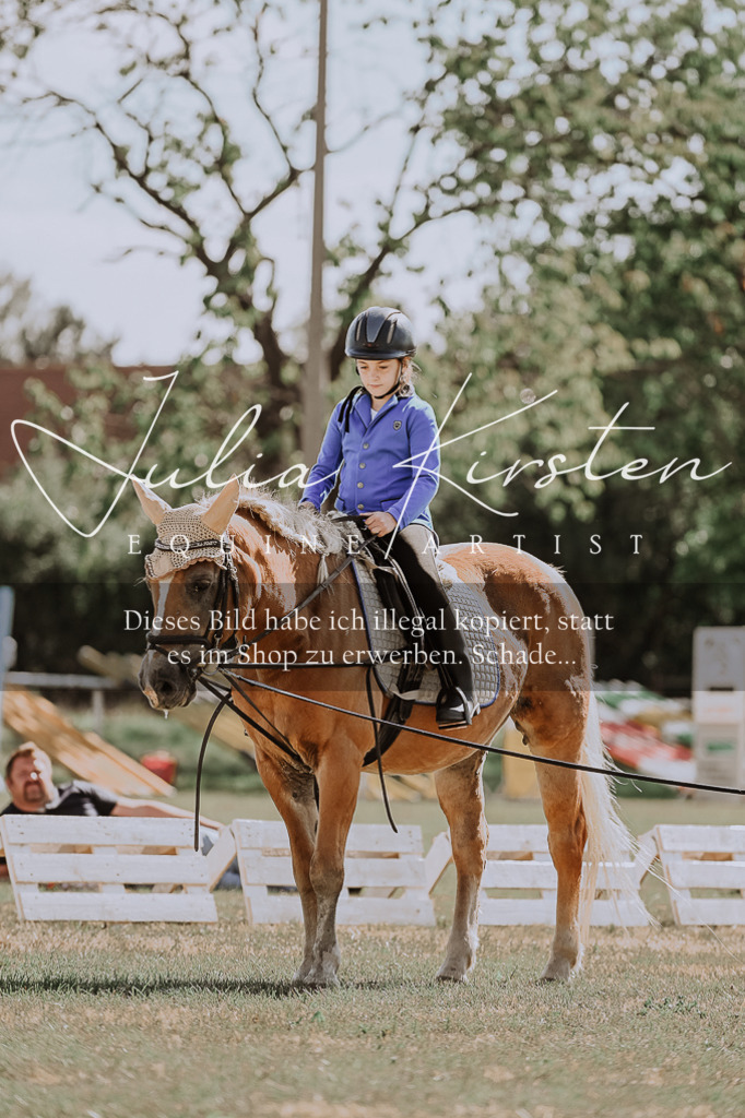 DSC_7503 | Pferde- und Turnierfotografie in Westsachsen. Pferdeportraits, Auftragszeichnungen und intuitive Kunst.